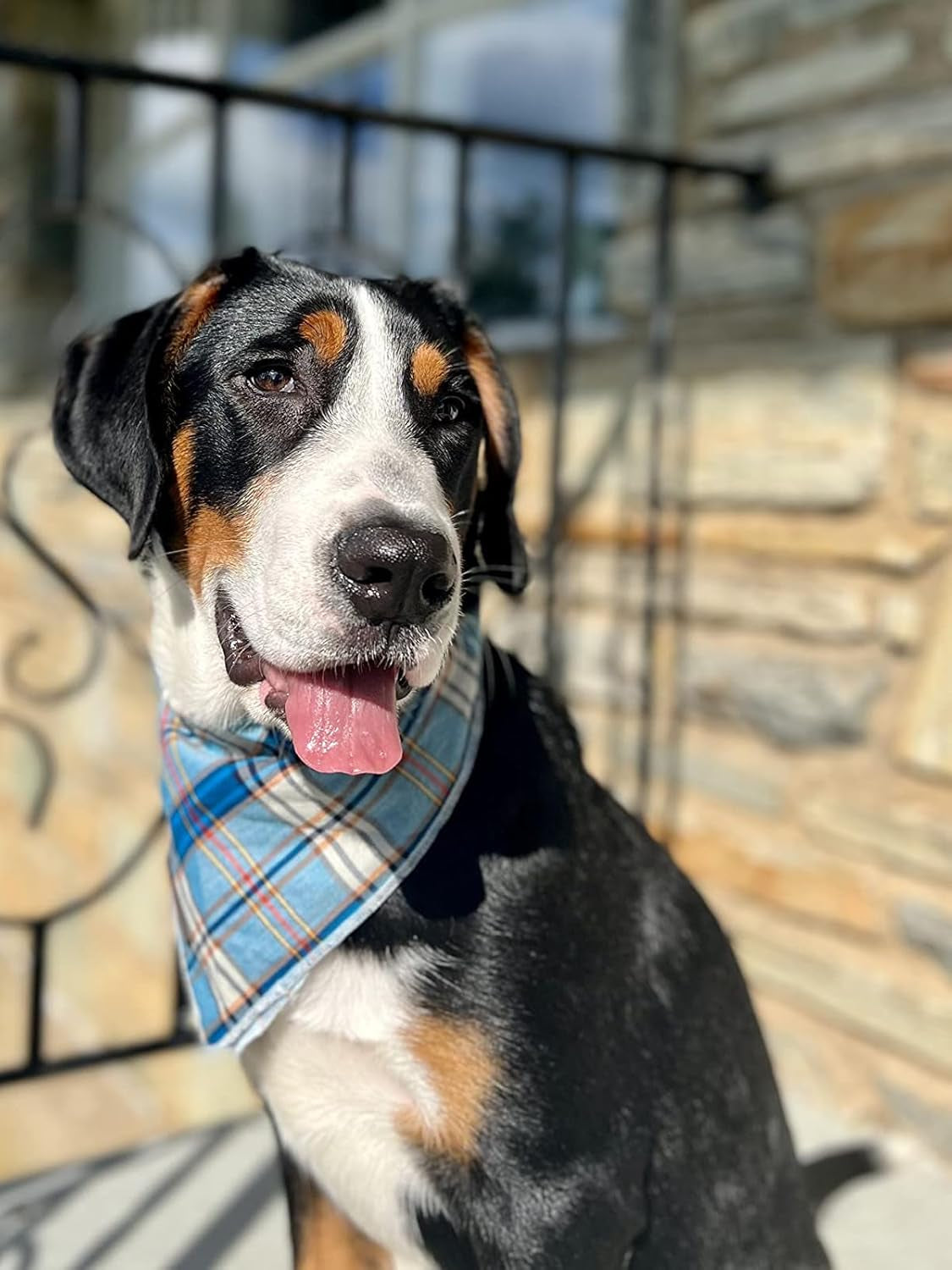 Dog Bandana for Small Medium Large Dogs, Cat Dog Kerchief Dog Triangle Bibs Scarf for Girl or Boy