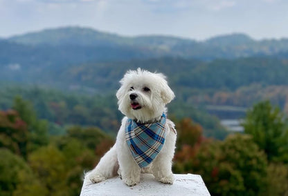 Dog Bandana for Small Medium Large Dogs, Cat Dog Kerchief Dog Triangle Bibs Scarf for Girl or Boy